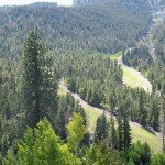 Charleston Peak - Mount Charleston 3